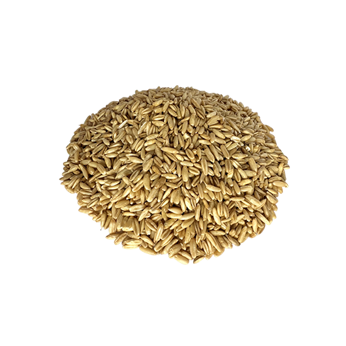 燕麦米